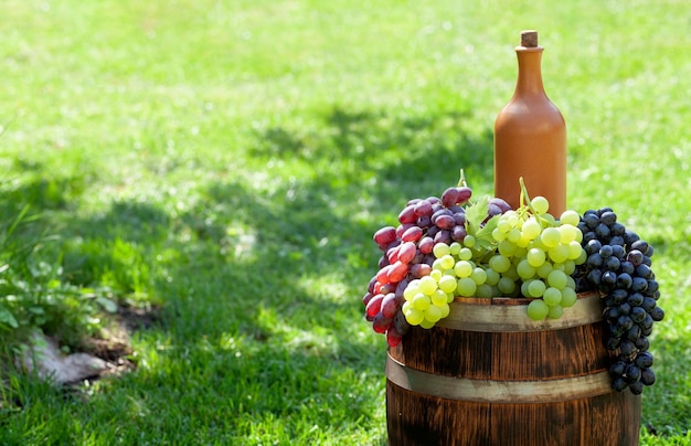 Várias uvas coloridas e garrafa de vinho