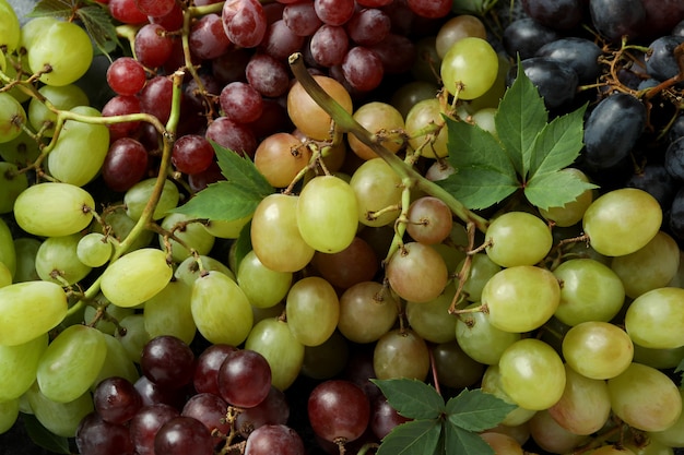 Várias uvas em todo o fundo, close-up