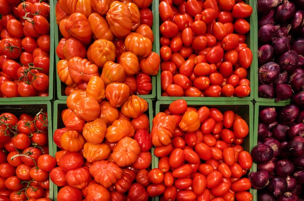 Varias verduras frescas en envases de plástico verde.