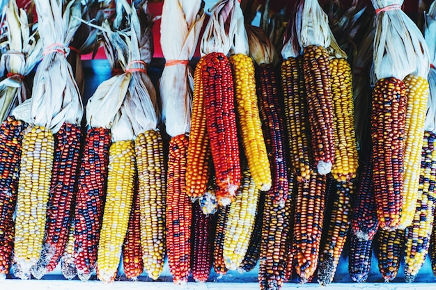 Variedad de alimentos para la venta