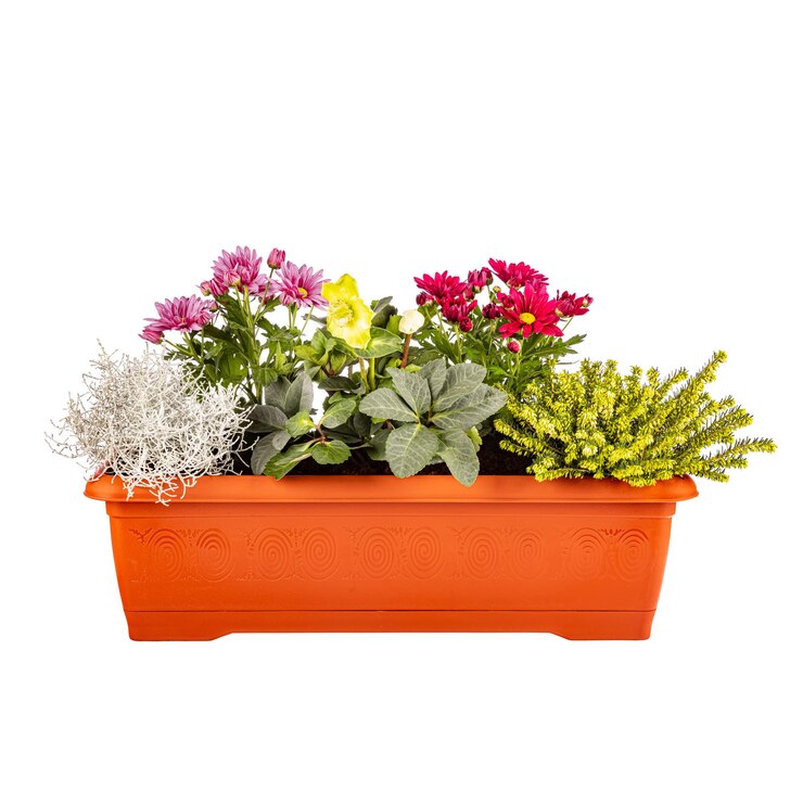 Variedad de flores en macetas