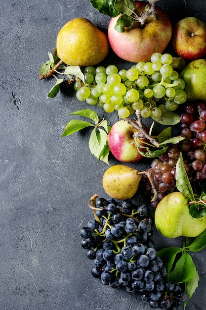 Variedad de frutas de otoño.