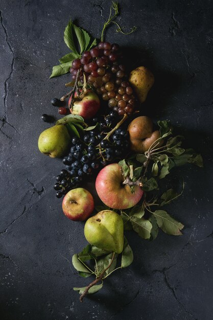 Variedad de frutas de otoño.