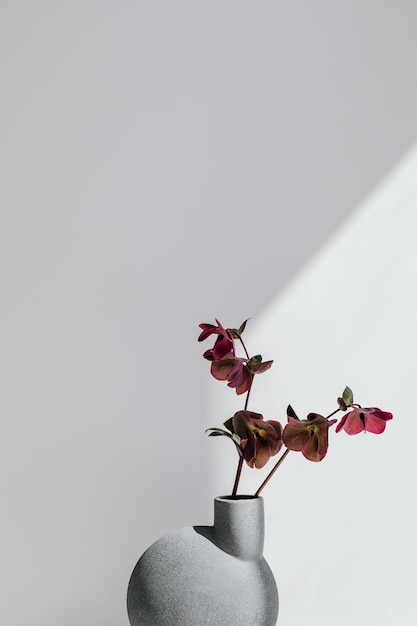 una variedad de hermosas flores rojas en un concepto fotográfico interior minimalista