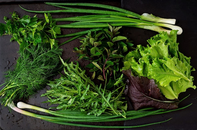 Variedad de hierbas orgánicas frescas (lechuga, rúcula, eneldo, menta, lechuga roja y cebolla) sobre fondo negro en estilo rústico. Vista superior