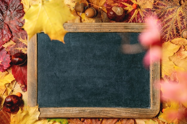 Variedad de hojas de otoño