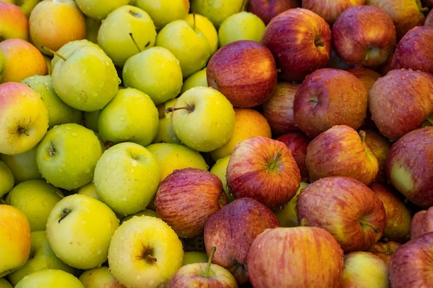 Variedad de manzanas de diferentes tipos en hipermercado moderno