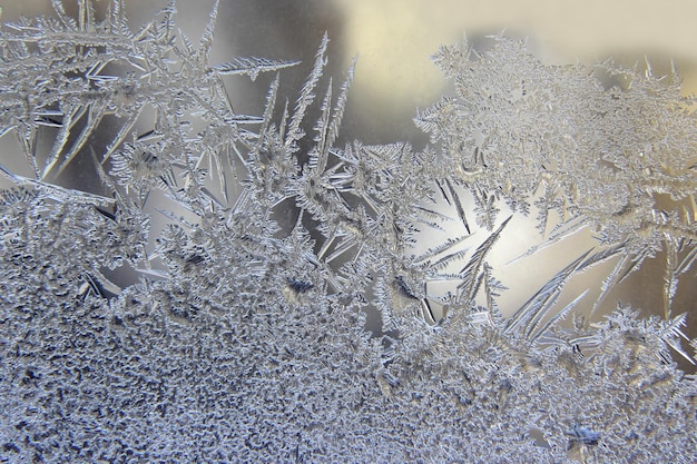 Variedad de patrones de escarcha en una ventana de invierno