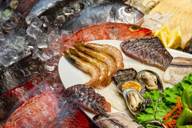 Variedad de pescado en hielo en un mercado.