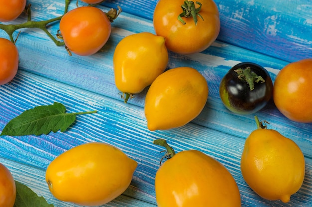Variedad de tomates deliciosos orgánicos naturales maduros. Verduras frescas de temporada cultivadas localmente.