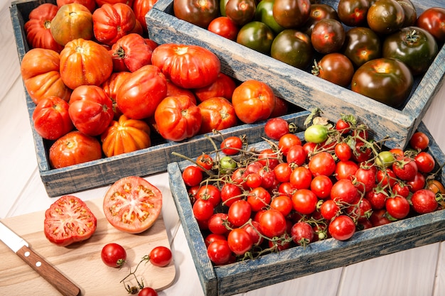 Foto variedad tomates frescos en cajas