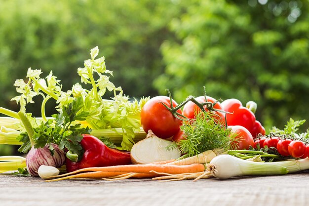 Variedad de verduras frescas colocadas al aire libre Primera cosecha de verano Concepto de jardinería orgánica