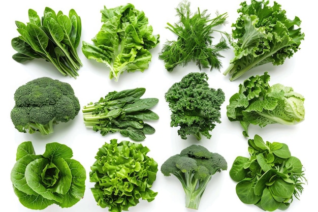Variedad de verduras de hoja verde aisladas sobre fondo blanco