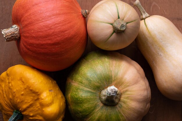 Variedade de abóboras em uma abóbora de mesa butternut pattypan