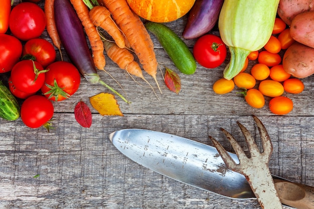 Variedade de diferentes vegetais orgânicos frescos e ferramentas de jardinagem em fundo de madeira estilo country Comida saudável vegan vegetariano comendo conceito de dieta Jardim local produz comida limpa