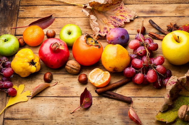 Variedade de frutas, uvas e nozes. Frutos de outono. Colheita sazonal de outono