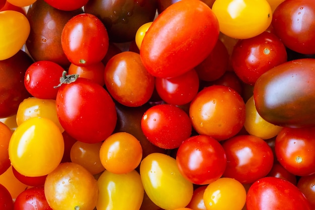 Variedade de fundo colorido de tomate orgânico