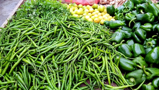 Variedade de legumes frescos. Capsicum (Shimla Mirchi), Limão, Frio Verde Picante, Coentro Vendido no Mercado Indiano