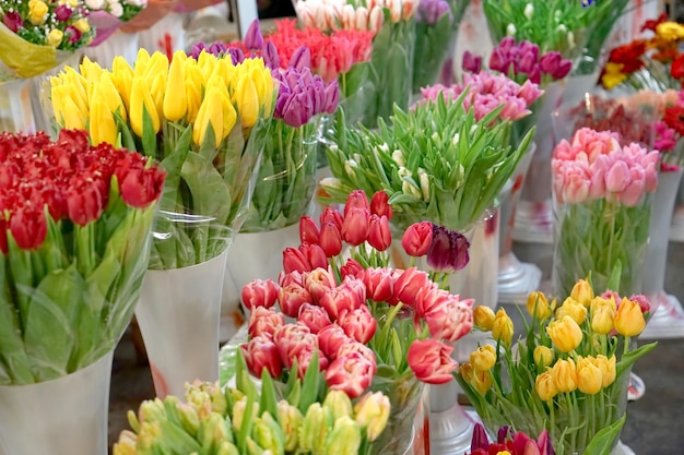 Variedade de lindas flores na loja de flores