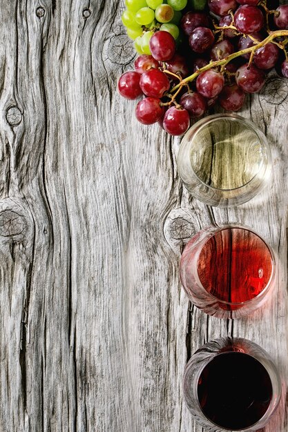 Variedade de vinho