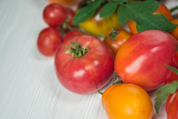 Variedade tomates coloridos frescos Tomates diferentes variedades