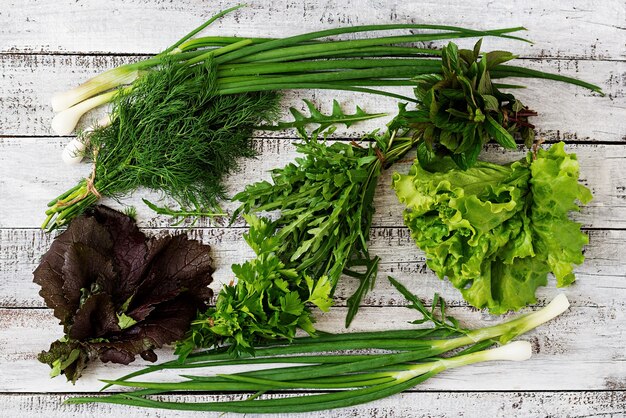 Variety frische Bio-Kräuter (Salat, Rucola, Dill, Minze, roter Salat und Zwiebel) auf Holzuntergrund im rustikalen Stil. Draufsicht