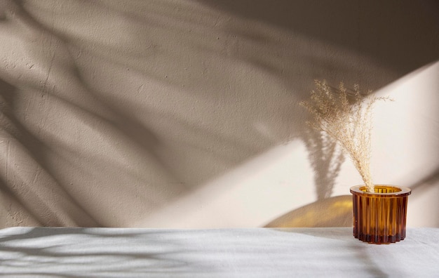 Varios accesorios con un ambiente otoñal bajo la cálida luz del sol de la tarde.