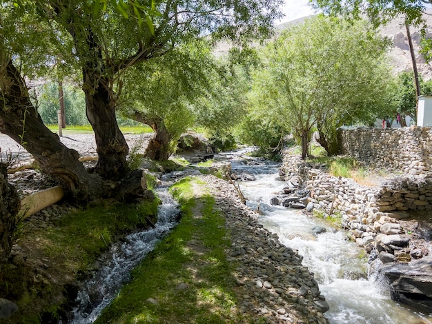 Los varios arroyos de un pueblo de Pamir