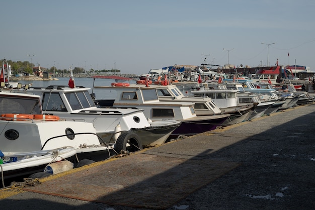 Vários barcos na marina