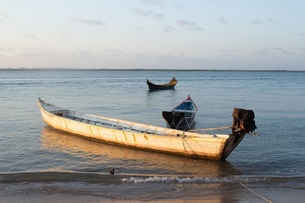 Vários barcos no rio