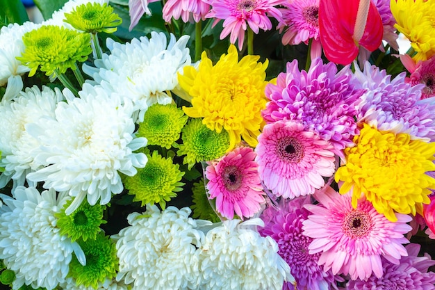 Vários buquês de flores de flores um monte de fundo colorido de flores frescas