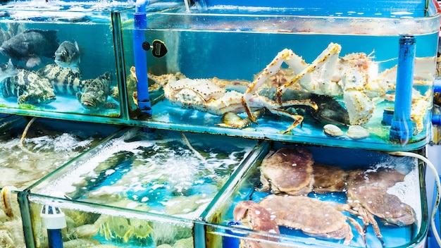 Varios cangrejos en el mercado de pescado en la ciudad de Guangzhou