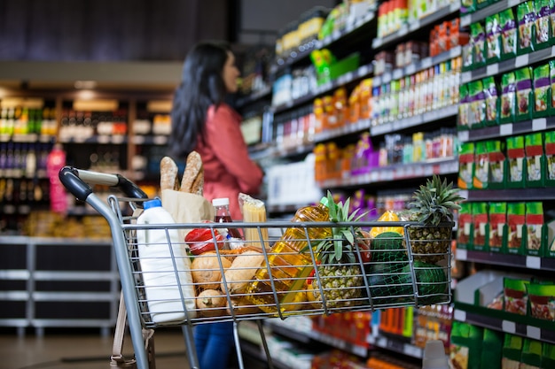 Varios comestibles en carrito de compras