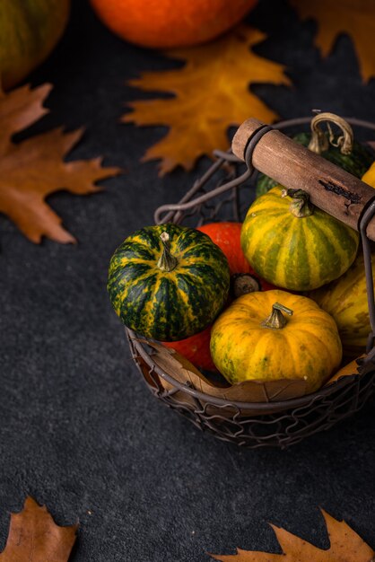 Vários conceitos decorativos de outono de abóboras