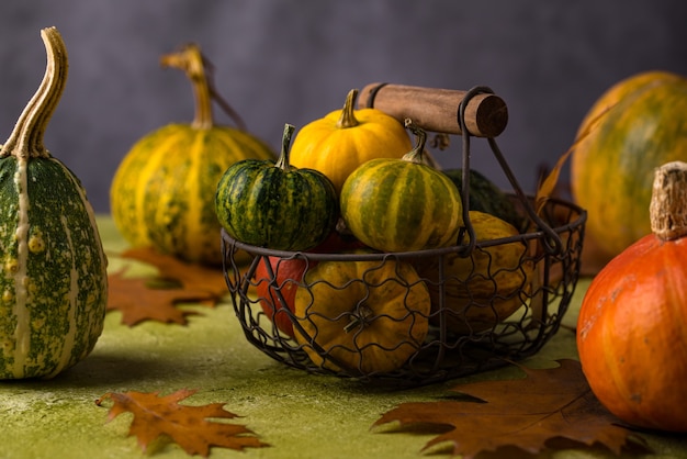 Vários conceitos decorativos de outono de abóboras