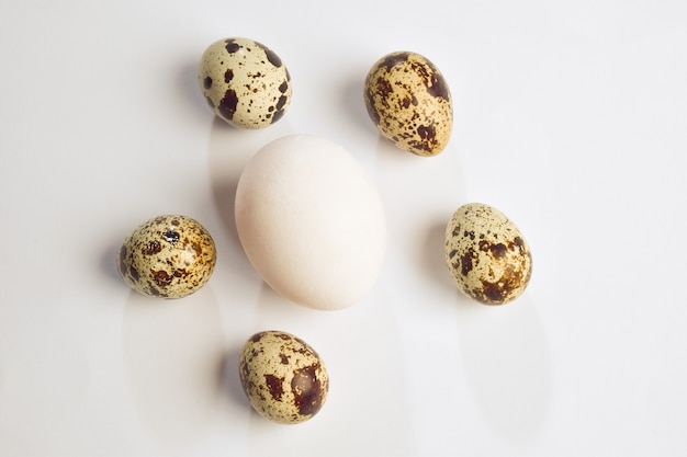 Varios huevos de codorniz y un huevo de gallina en el medio entre ellos sobre fondo de recorte blanco