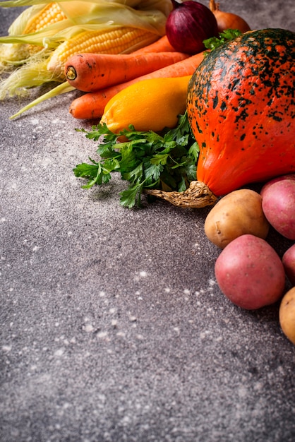 Foto vários legumes de outono