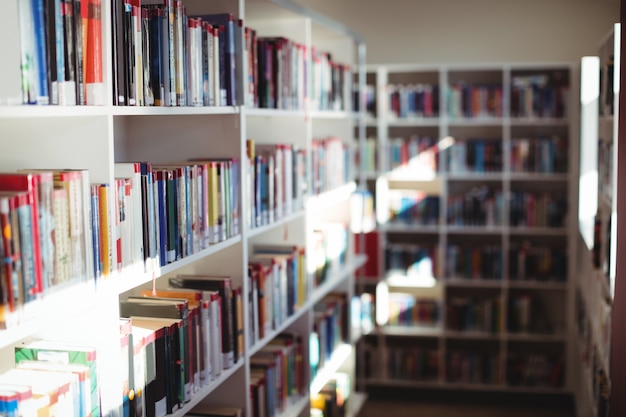 Varios libros dispuestos en la estantería de la biblioteca