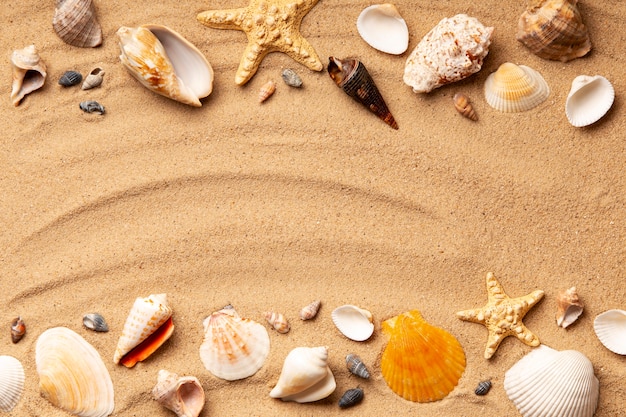 Varios objetos y conchas de la playa en la arena