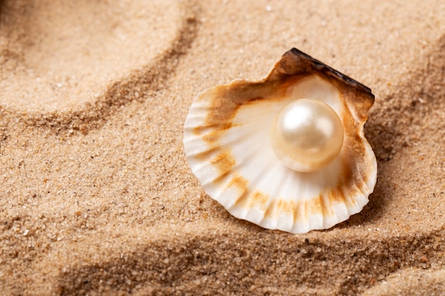 Varios objetos y conchas de la playa en la arena