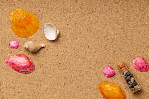 Varios objetos y conchas de la playa en la arena