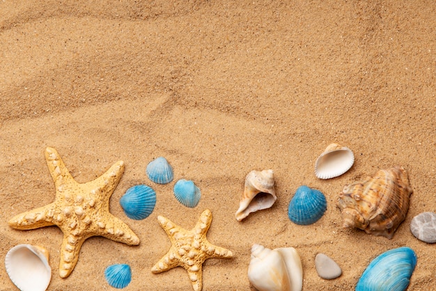Varios objetos y conchas de la playa en la arena