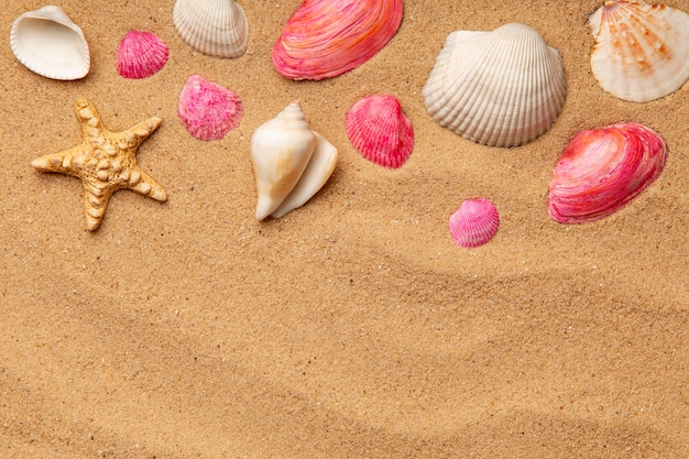 Varios objetos y conchas de la playa en la arena