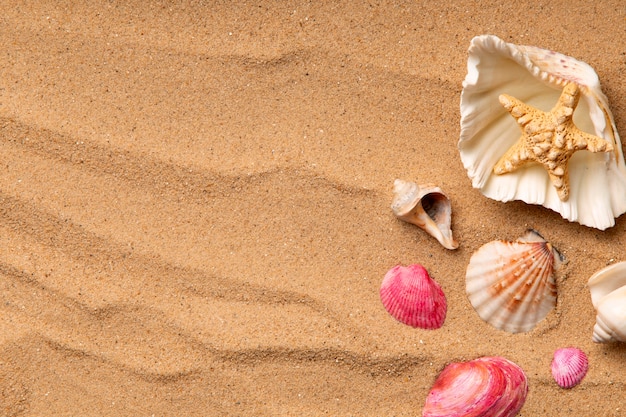 Varios objetos y conchas de la playa en la arena