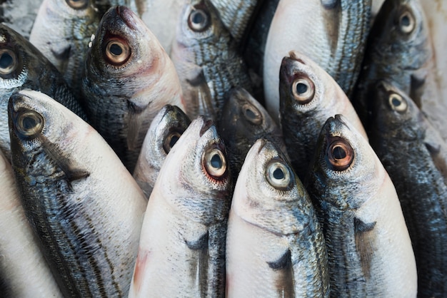 Varios pescados y mariscos frescos en el mercado de pescado