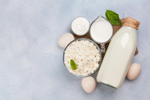 Varios productos lácteos Queso de leche crema agria casera Vista superior plana con espacio de copia