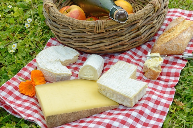 Foto vários queijos franceses com maçãs e cidra