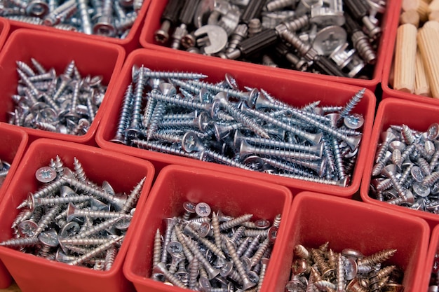 Varios tamaños y formas de tornillos pernos selección de clavijas de madera en caja de bandeja de plástico rojo sobre un fondo de madera Kit de montaje para muebles Enfoque selectivo