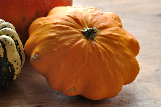 Varios tipos de calabaza