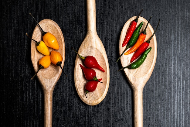 Varios tipos de pimiento rojo y pimiento rojo de Brasil en cucharas de madera